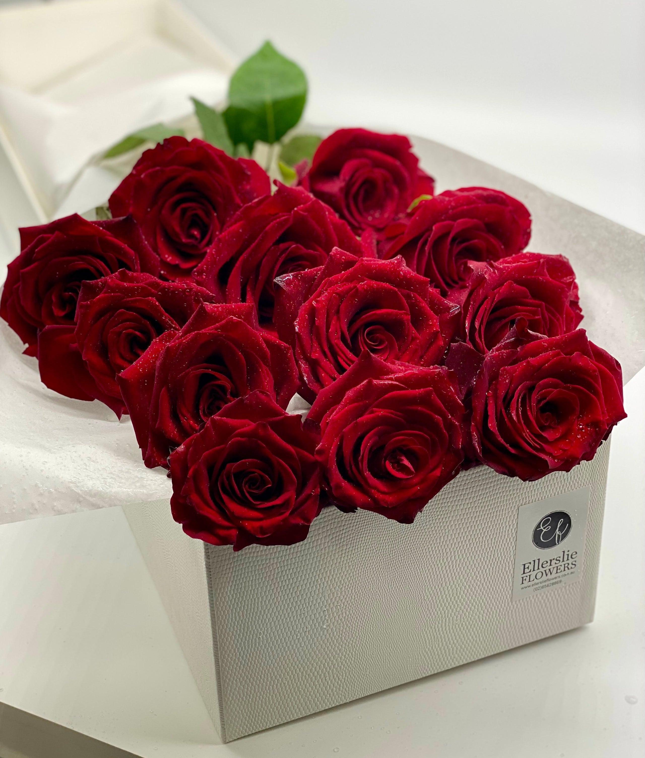 Ellerslie Flowers Kempsey Florist Valentine's Day 12 Red Roses in White